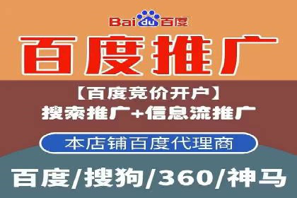 某SEM公司广告投放案例：创新广告形式的探索与实践